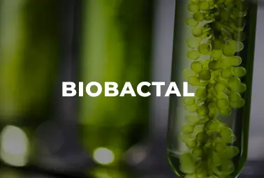 BIOBACTAL_url