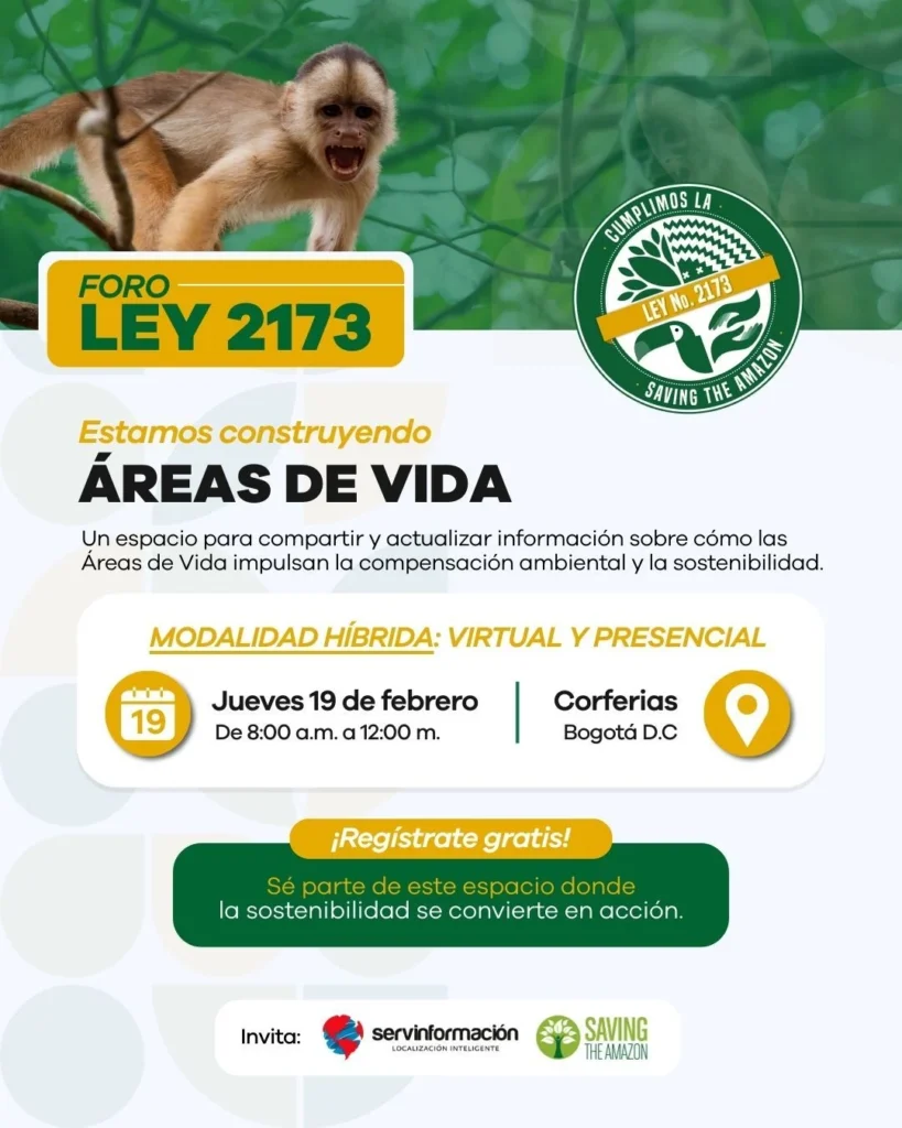 Pieza Email Marketing